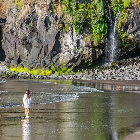 Rosa Mare By Homie Seixal (Madeira)