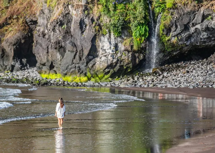 Rosa Mare By Homie Seixal (Madeira)