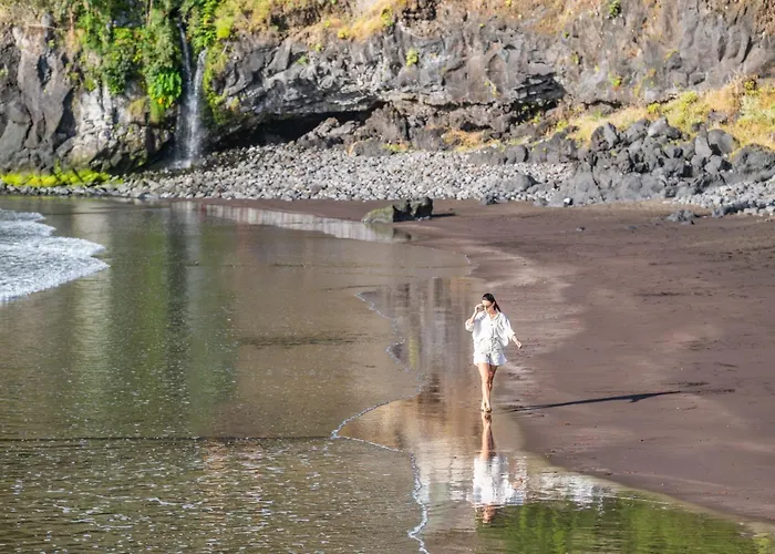 Rosa Mare By Homie Vila